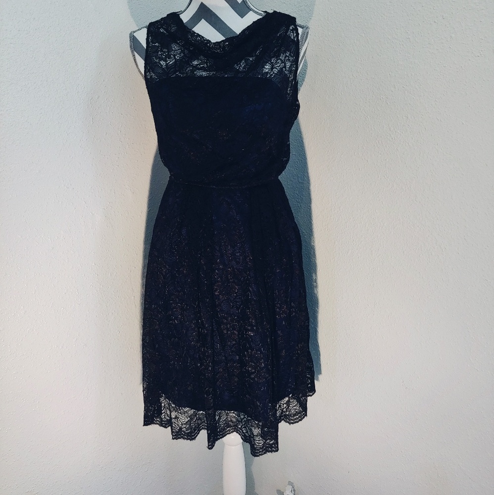 The Limited Dress NWT